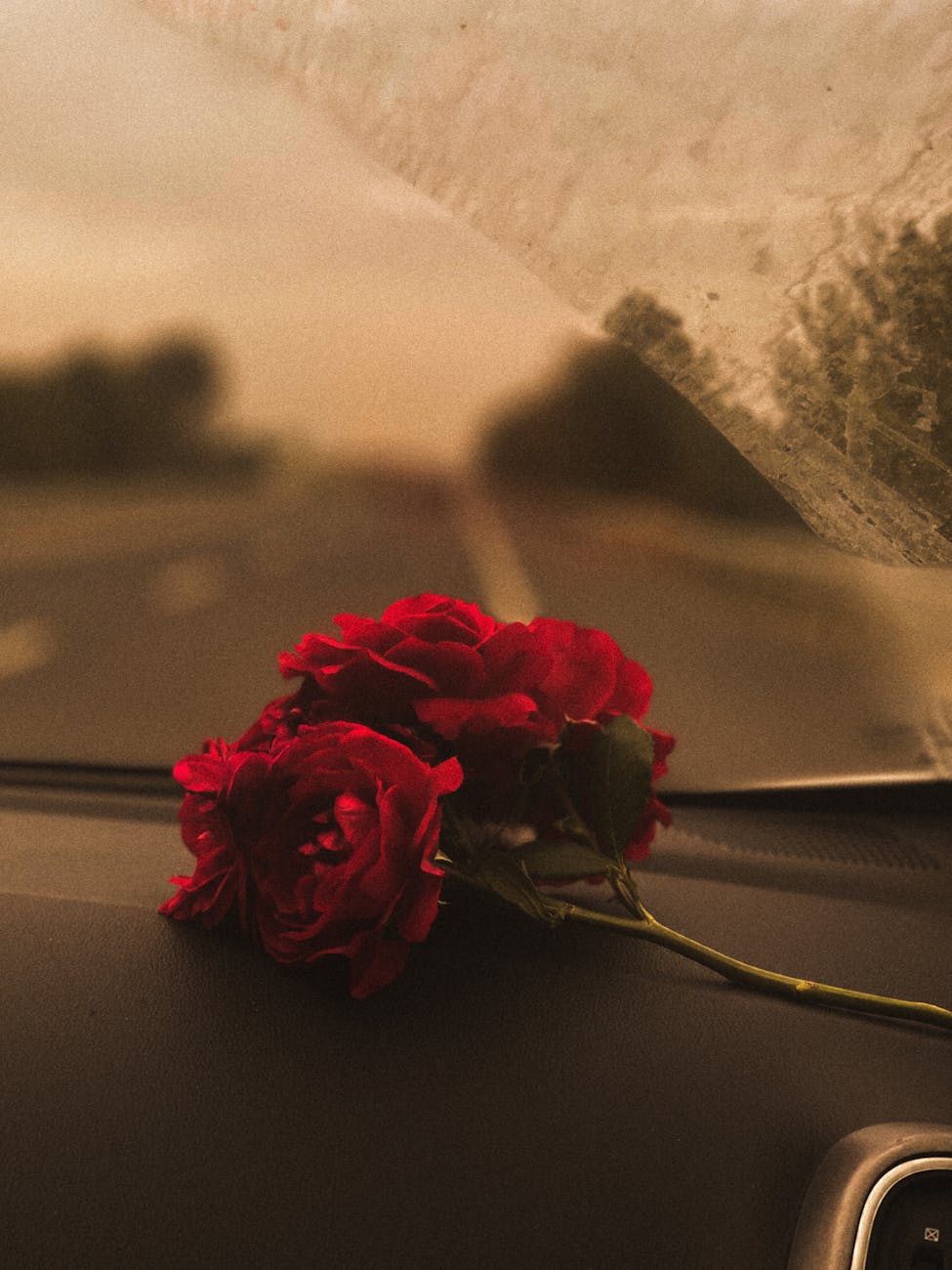 red flowers on dashboard